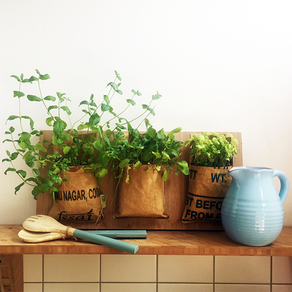 Hanging garden - Image 7